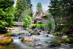 Letný pohľad na drevenicu nachádzajúcu sa v lesnom múzeu Skanzen oravskej dediny, Zuberec, Slovensko. Oravský skanzen