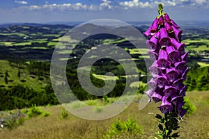 Summer views of the Beskydy landscape