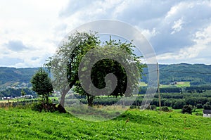View over the village of Selbu, Norway