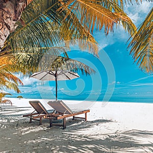 Summer vintage holiday and vacation design. Inspirational tropical beach, palm trees and white sand