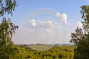 Summer warm sun light forest aerial view