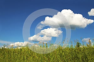 Summer weather with clouds.