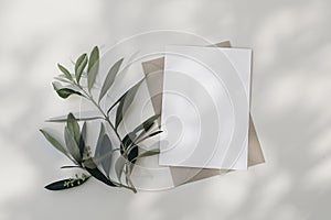 Summer wedding stationery. Blank greeting card, invitation mock-up scene with craft envelope Blooming green olive tree