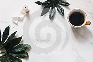 Summer wedding stationery mock-up scene. Dark green aralia leaves, silk ribbon and cup of coffee. White marble stone photo