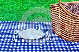 Summer Weekend Picnic Concept