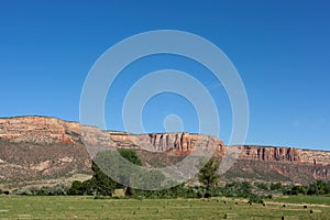 Summer in western Colorado`s Grand Valley