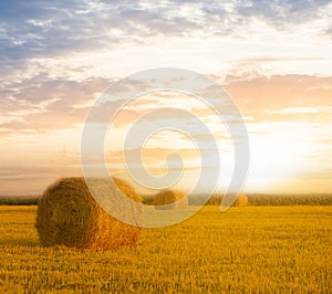Summer wheat field with haystack at the sunset