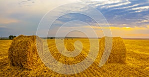 summer wheat field with haystack at the sunset