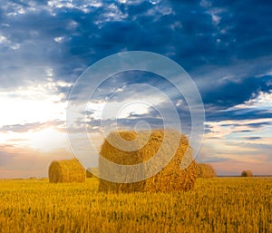 Summer wheat field with haystack at the sunset