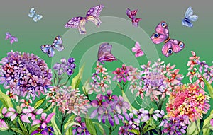 Summer wide banner. Beautiful vivid iberis flowers and colorful butterflies on green background. Horizontal template.