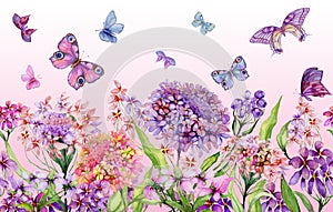 Summer wide banner. Beautiful vivid iberis flowers and colorful butterflies on pink background. Horizontal template.