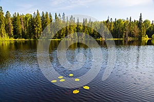 Summer wild landscape lake on the island of Valaam