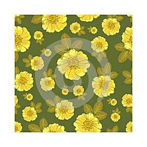 Summer wild yellow roses on dark green background