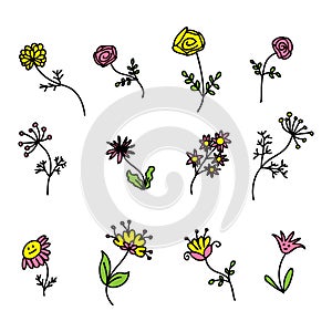 Summer wildflowers collectoin in simple doodle style. Perfect for tee, stickers, poster, card. Isolated vector illustration for photo