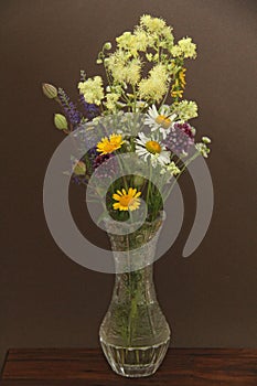 Summer wildflowers in a crystal vase. A beautiful summer bouquet on a dark background. Chamomile, wild onion, Veronica long-leaved