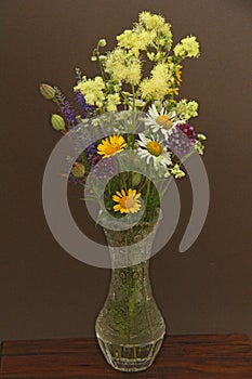 Summer wildflowers in a crystal vase. A beautiful summer bouquet on a dark background. Chamomile, wild onion, Veronica long-leaved