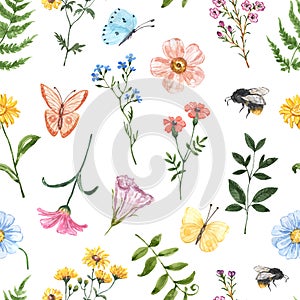 Summer wildflowers seamless pattern on whitebackground. Watercolor hand painted floral print