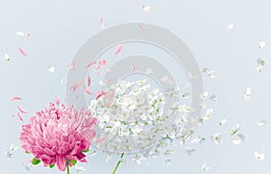 Summer wind vector floral drawing