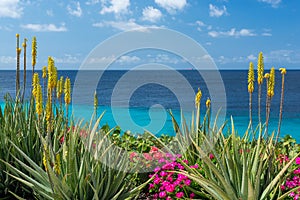 Summer and winter vacation destination, views of Curacao island and blue water of Carribean sea