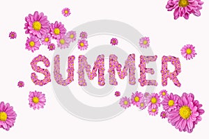 SUMMER word with pink chrysanthemum flowers