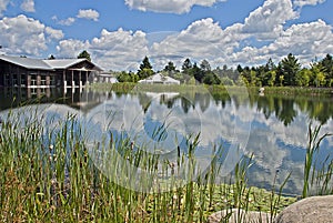 Summerday at a wilderness center