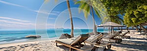 Summers beauty: Lounge chairs, palm trees, tranquil sea   a beachfront escape