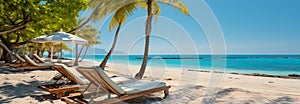 Summers beauty: Lounge chairs, palm trees, tranquil sea   a beachfront escape