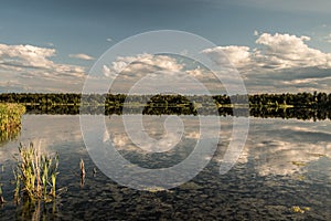 Summers evening at Crane Lake