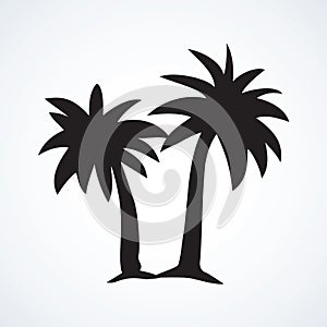 Palm tree. Vector drawing photo