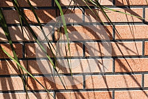 Summertime background of brick wall with palm tree leaves