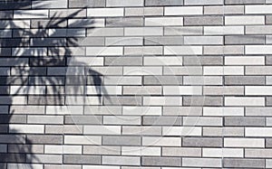 Summertime background of brick wall with palm tree leaves silhouette on the left side