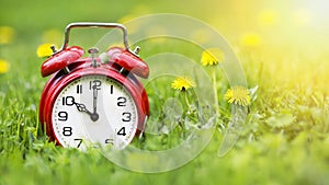 Summertime banner - alarm clock and dandelion flowers