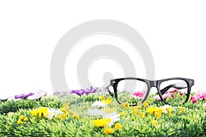 Summertime on a beautiful flower meadow! photo