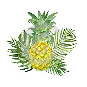 Summertime composition with exotic tropical plants and fresh pineapple, isolated on white background. watercolour illustration