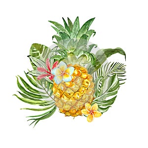 Summertime composition with exotic tropical plants, leaves, flowers and fresh pineapple, isolated on white background.