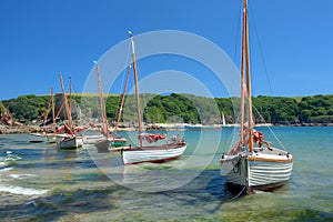 Summertime in Devon photo