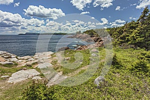 Summertime on the Famous Cabot Trail