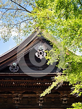 Summertime on the grounds of Miidera, temple number 14 of the Saigoku Kannon pilgrimage