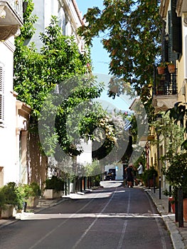 Street with a lot of plants to Athenes in Greece.