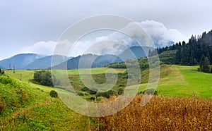 Summertime landscape with dirt road and view at covered with white clouds mount Velky Choc Great Choc in the Slovakia