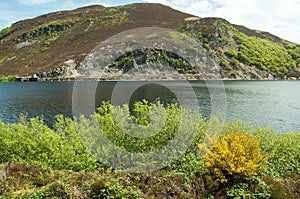 Summertime landscape in the Elan valley.