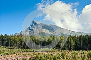 Summertime landscape with forest felling in the foreground against the background of mount the Krivan in mountains High Tatras