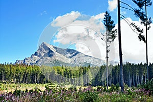 Summertime landscape with view on mount the Krivan in mountains High Tatras