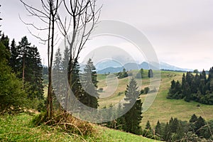 Summertime landscape - view at mount Velky Choc Great Choc in the Slovakia