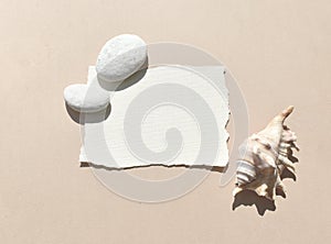 Summertime minimal still life concept with empty blank, sea shells and pebbles on beige background.