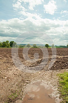 Summertime muddy fields and agriculture in the British countryside