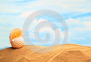 Summertime Seasonal, white yellow seashell on the sandy beach with sunny colorful blue sky background and copy space.