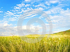 Summertime, solar field