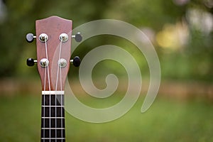 Summertime: Ukulele lying in the grass, park