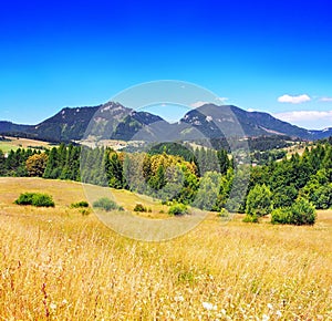 Letný pohľad na lúku s Chočskými vrchmi, Pravnáč a Lomy